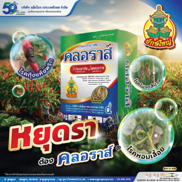 คลอราส์